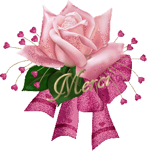 JE VOUS REMERCI TOUS DU RESPECT QUE VOUS AVER APPORTER