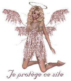 BONJOUR A TOUS VOICI ANGE 2810